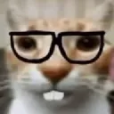 catNerd