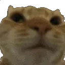 swagNo