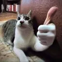 catthumbsup