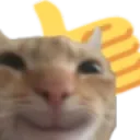 catthumbsup