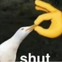 shut