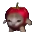 Applecat applecat Discord Emoji