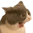 CatYell