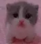 Scared