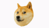 Dogespin Discord Emoji