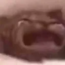 waaaaaa