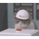 catnuke
