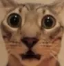 whar
