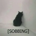 sadsobbing