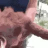 crazydog