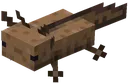 Brown_Axolotl