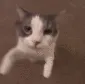 mwah mwah