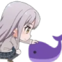 whel_pat