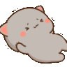 catexercise