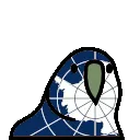 antarcticaParrot