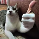 djthumb