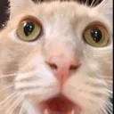 astonishedandfranklystunnedbanan