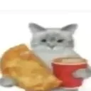 chow