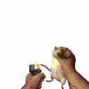 ratthrow ratthrow