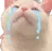 Catcrying catcrying Discord Emoji