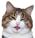 Cat_Gross Discord Emoji