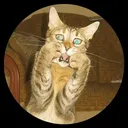 Oh_no_cat Discord Emoji