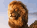 Happy_Lion Discord Emoji