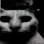 Malevolence