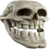 skullissue