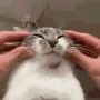 dubious dubious
