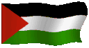 AnimatedFlagPalestine Discord Emoji