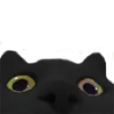 gvo_lurkcat