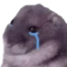 cry_cry