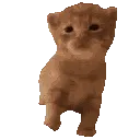 robertjam