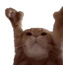 catting