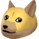 doge
