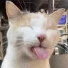 MillyEepyBlehh