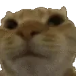 NONONO