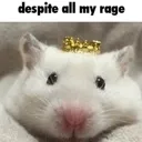 dispiteallmyrage