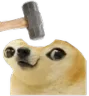 dogebonk