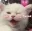 Catwink catwink Discord Emoji