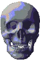 skull