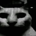 catdespair