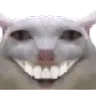 CursedCatStarege