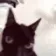 catshake