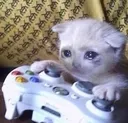 sad