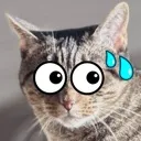 YN_nervousLily