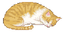 Cat3 cat3 Discord Emoji