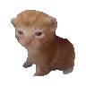 robert