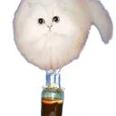 __